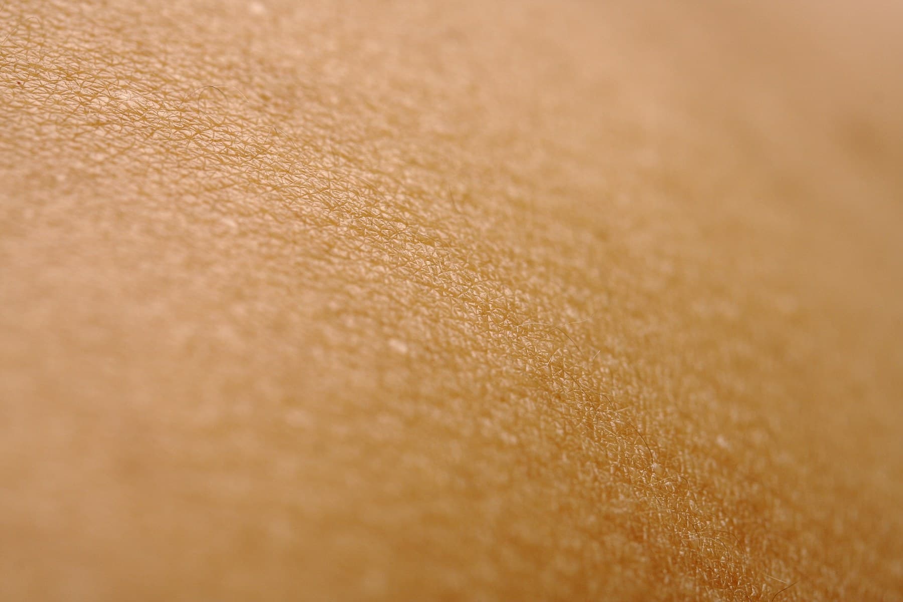 Textura da pele vista de muito perto